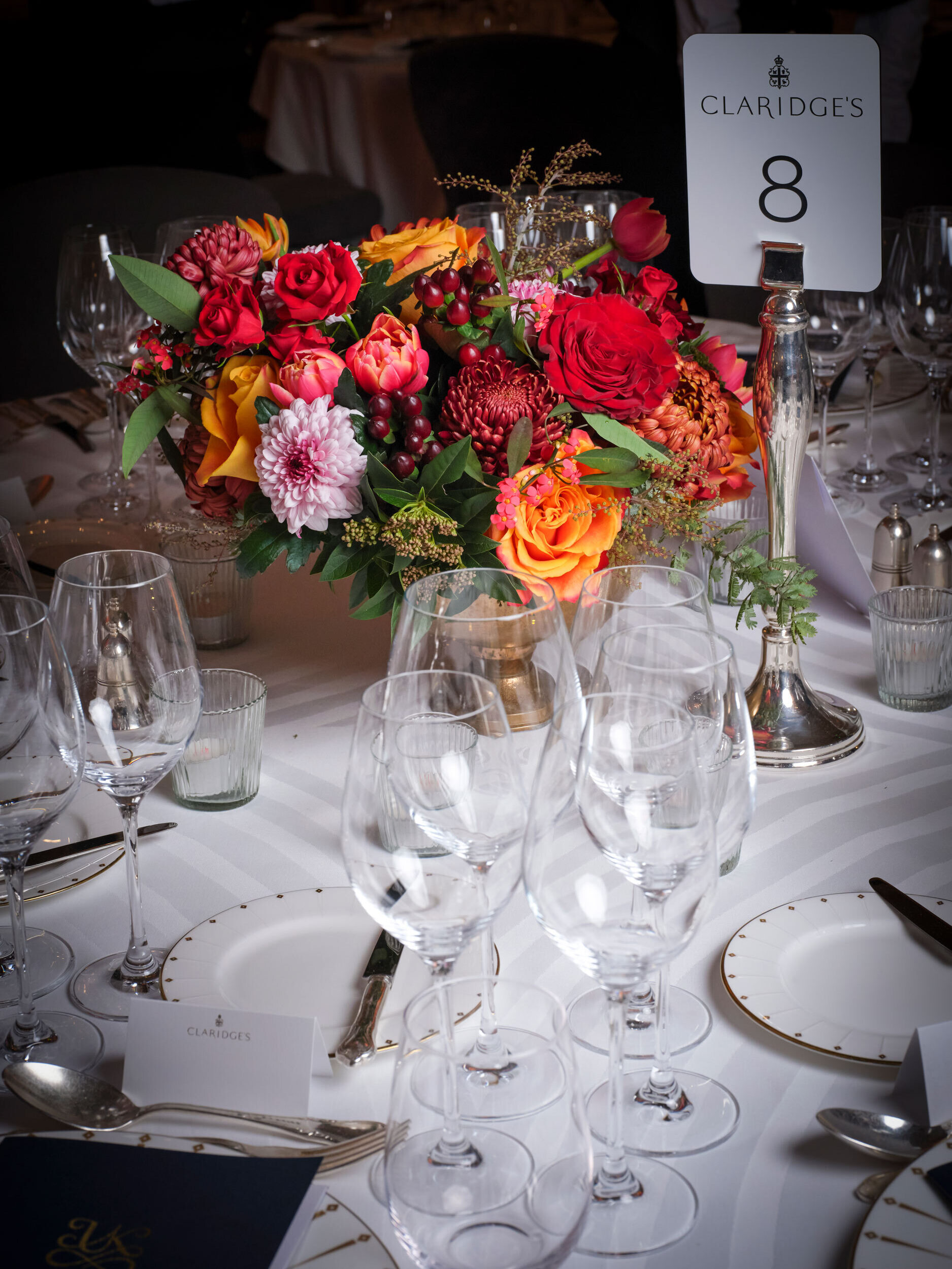 Jodi Hinds 251117 Bocuse Gala Event 075