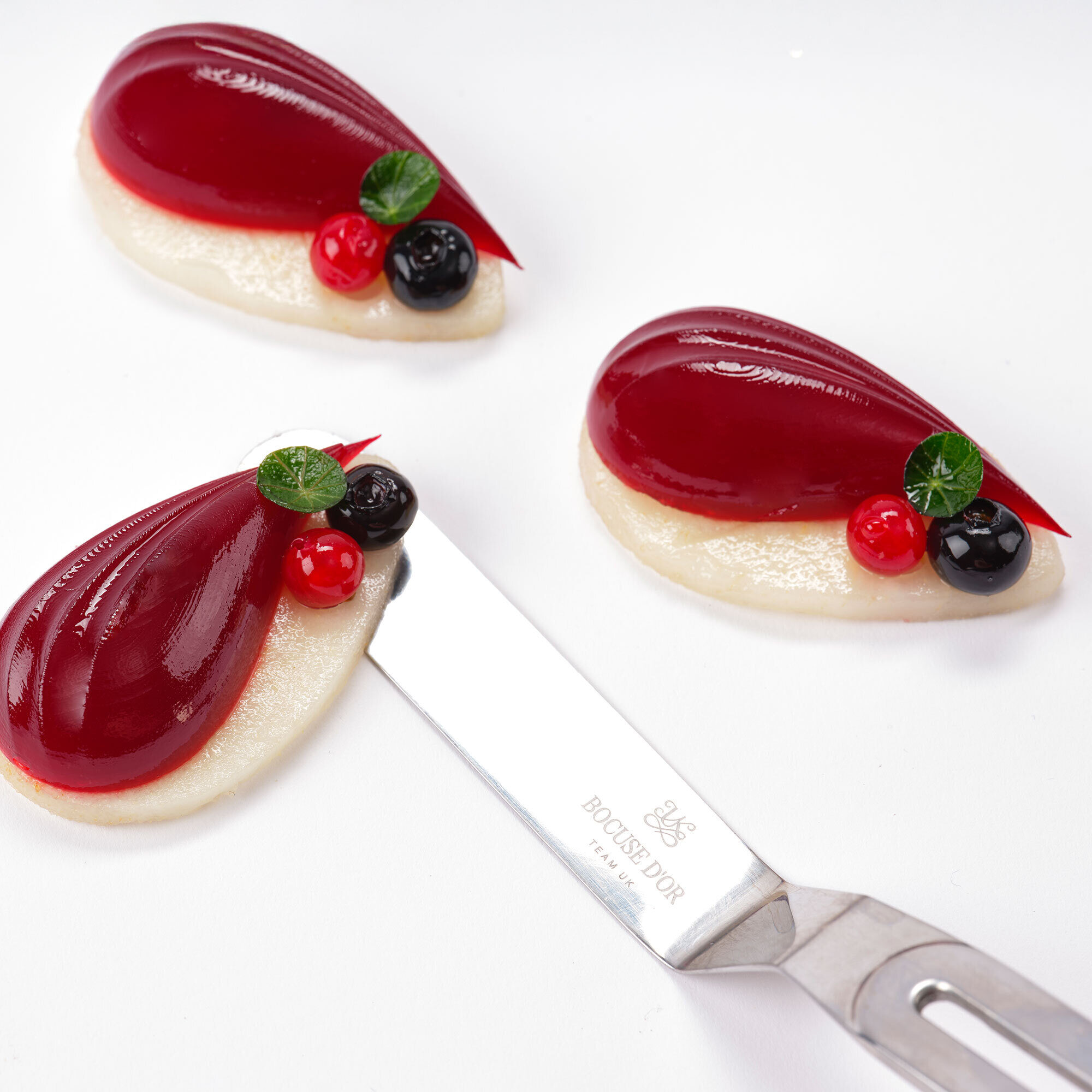 Bocuse Team UK Sponsor 1 0